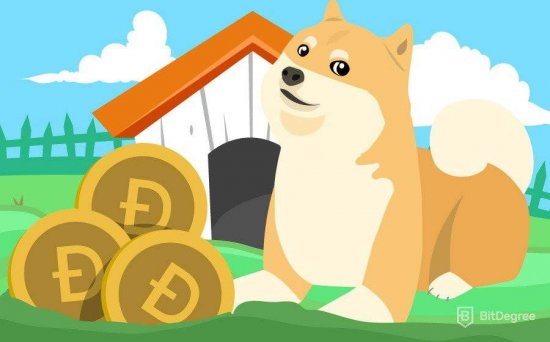 doge coin mayninq